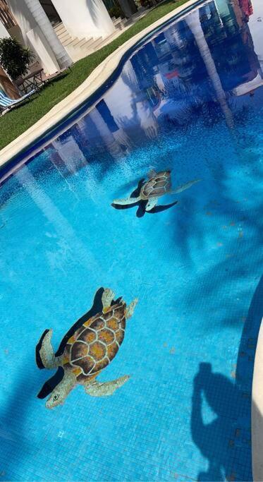 Lovely 3 Bedroom Condo With Pool อิกซ์ทาปา ภายนอก รูปภาพ
